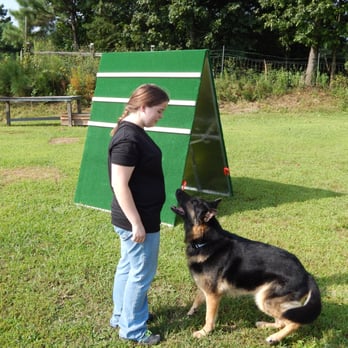 Horton’s Quality K-9 Equipment - Alyssa and Bolo during social hour working on obediance - Pet Stores Near Me - Jasper, Georgia Horton’s Quality K-9 Equipment - Alyssa and Bolo during social hour working on obediance - Pet Stores Near Me - Jasper, Georgia