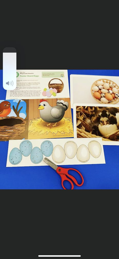 Twinkle Star Day Care - childcare center in San Francisco, CA