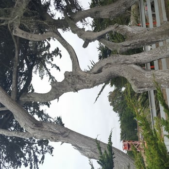 Point Pinos Lighthouse - Landmarks & Historical Buildings Near Me - Pacific Grove, California Point Pinos Lighthouse - Landmarks & Historical Buildings Near Me - Pacific Grove, California