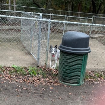 Dog Park at Tom Brown - Dog Parks Near Me - Tallahassee, Florida Dog Park at Tom Brown - Dog Parks Near Me - Tallahassee, Florida