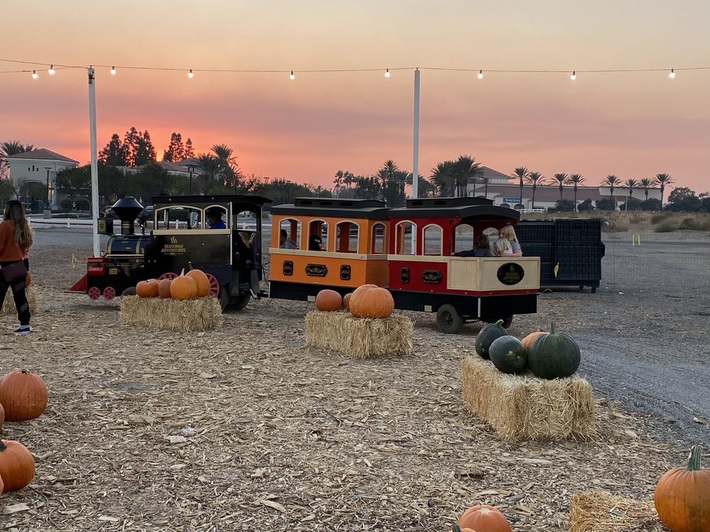 SEASONAL ADVENTURES PUMPKIN PATCH AND CHRISTMAS TREES Updated April
