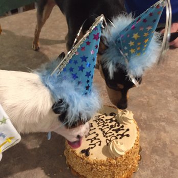 Three Dog Bakery - Pet Stores Near Me - Las Vegas, Nevada Three Dog Bakery - Pet Stores Near Me - Las Vegas, Nevada