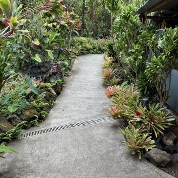 Hana Farms - Attraction Farms Near Me - Hana, Hawaii