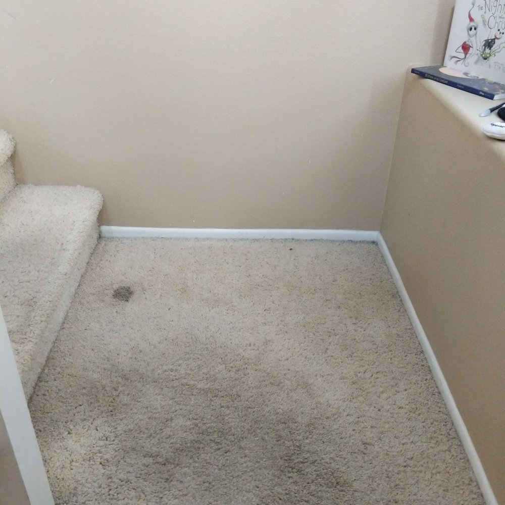 24 7 Carpet Cleaning - Carpet Cleaning Near Me - Capistrano Beach, California 24 7 Carpet Cleaning - Carpet Cleaning Near Me - Capistrano Beach, California