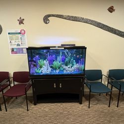 Tanasbourne Pediatrics