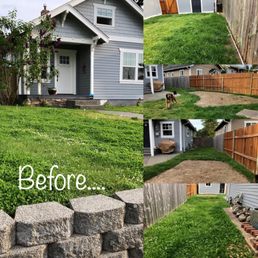 Before: the grass was mostly clover, the yard was uneven, and we had a large wood chip space in the back yard from the previous owners.