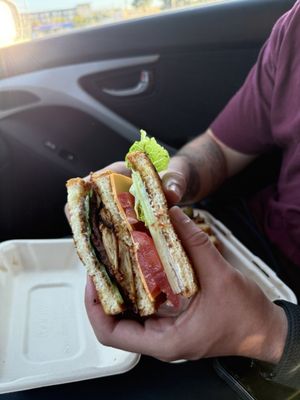 The Vegan Phoenix by null