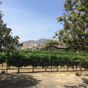 Clos du Val - Really beautiful!! - Wineries Near Me - Napa, California Clos du Val - Really beautiful!! - Wineries Near Me - Napa, California