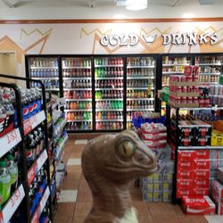Duchess - Bob the Raptor says "These mammals sell snacks and stuff!"