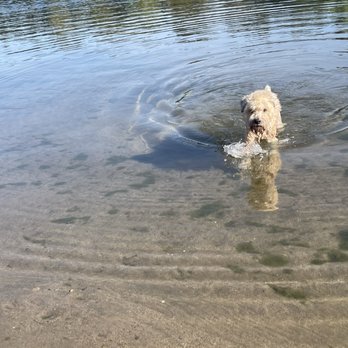 Paradise Beach - He said better throw that stick! - Parks Near Me - Sacramento, California Paradise Beach - He said better throw that stick! - Parks Near Me - Sacramento, California