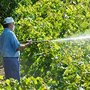 Photo of One-To-None Pest Control