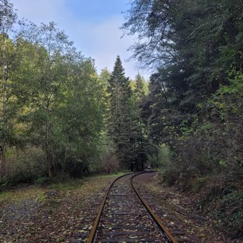 Skunk Train - Tours Near Me - Fort Bragg, California Skunk Train - Tours Near Me - Fort Bragg, California