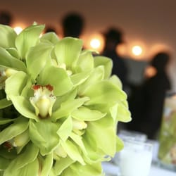 Blu Oasis Floral 