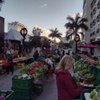 Sarasota Farmers Market gift card