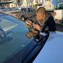 Photo of Gator Auto Glass