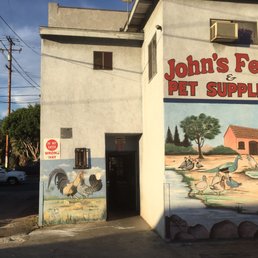 Enter from the rear of the building - the front on Florence has bunnies.