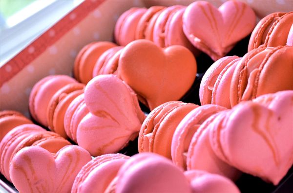 The Baker's Daughter by null