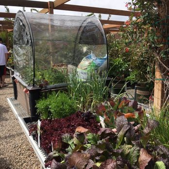 Super Trees Riverton Nursery - Nurseries & Gardening Near Me - Riverton, Utah Super Trees Riverton Nursery - Nurseries & Gardening Near Me - Riverton, Utah