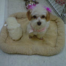 Noah's Ark Pet Salon
