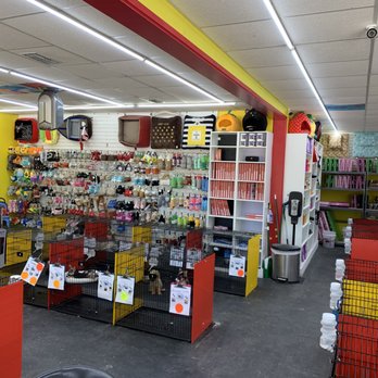 supplies for golden retriever puppy