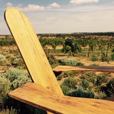 Herdade do Esporão Restaurant by null