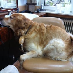 Frieseursalon Puls