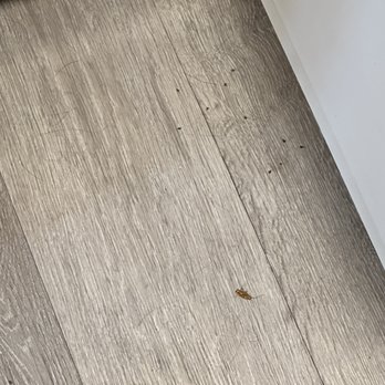 Site Summit - Apartments Near Me - Las Vegas, Nevada