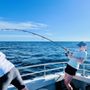 Photo of Florida Fishing Fleet