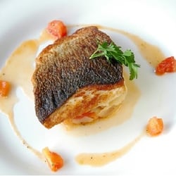 Mezzo Italian Bar & Restaurant - Salmon-food