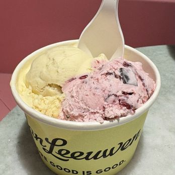 Van Leeuwen Ice Cream - Prospect Heights - Banana pudding, dark Black Cherry Chip - Ice Cream & Frozen Yogurt Near Me - Brooklyn, New York Van Leeuwen Ice Cream - Prospect Heights - Banana pudding, dark Black Cherry Chip - Ice Cream & Frozen Yogurt Near Me - Brooklyn, New York