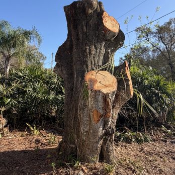 Narrow Path Tree Service - Tree Services Near Me Narrow Path Tree Service - Tree Services Near Me