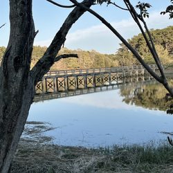 Uncle Tim's Bridge