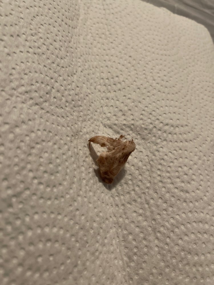 CITY PAWS PET GROOMING & DAYCARE Updated July 2024 59 Photos & 18 Reviews 1129 S Elmora