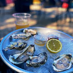 The Garden - Oysters