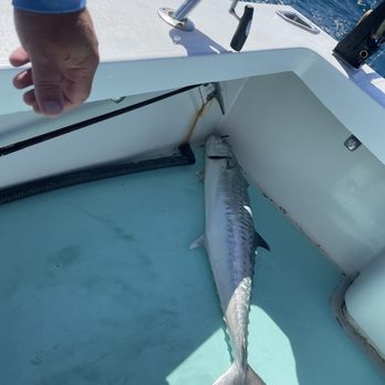 Outer Limits - Beast of a fish - Fishing Near Me - Key West, Florida Outer Limits - Beast of a fish - Fishing Near Me - Key West, Florida