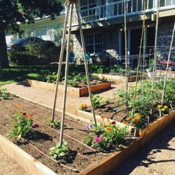 This veggie bed pumped out a ton of food for this family in East Oltorf area. We built multiple beds, added gravel for paths and irrigation