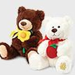 Edible Arrangements - Dickinson - Plush bears