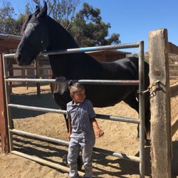 Horse Spirit Ranch