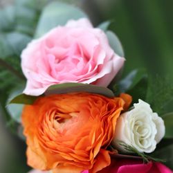 A Fashionable Flower Boutique
