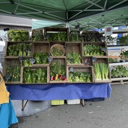 Fresh Farmed Greens! @ Newport Farmers Market.