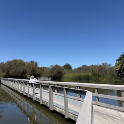 Neary Lagoon