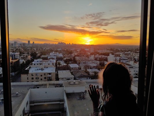 Beverly Hills Marriott by null
