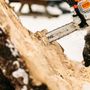 Photo of Tree Ninja