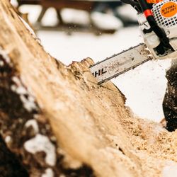 Tree Ninja - Tree Removal