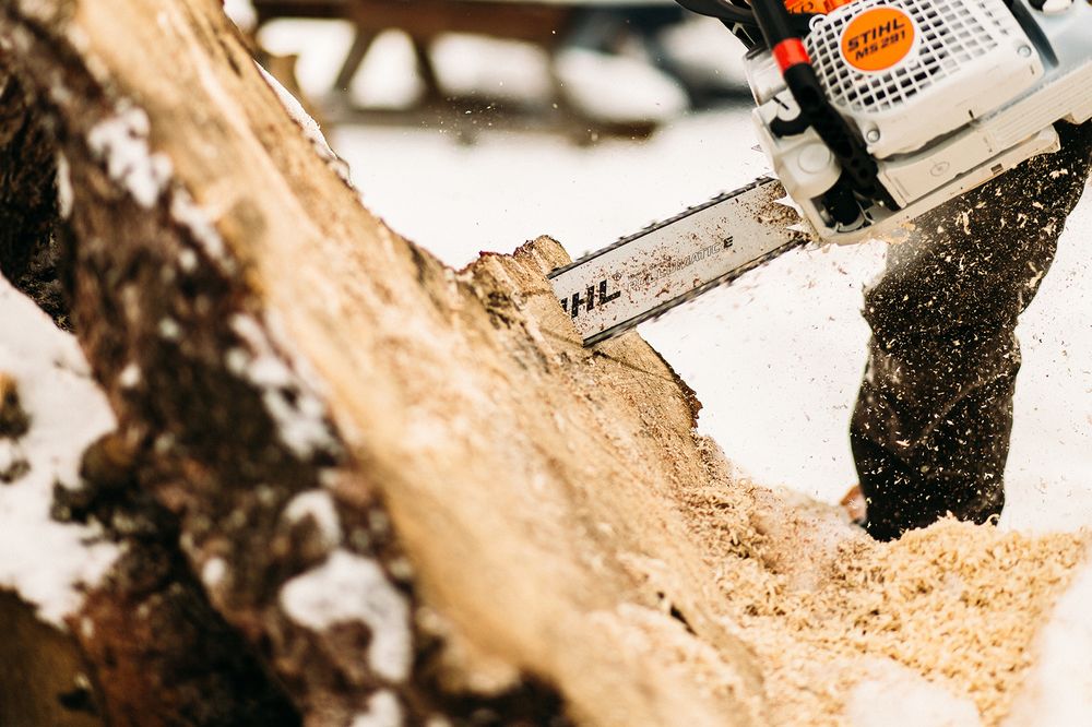 TREE NINJA Updated September 2024 Edmonton, Alberta Tree Services