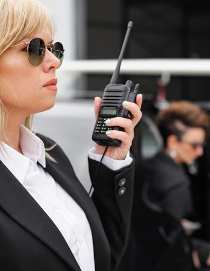 Safe Space Online Counseling - grief counselor in Tukwila, WA