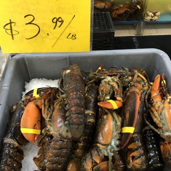 G-Mart - Lobsters - International Grocery Near Me - Milford, Connecticut