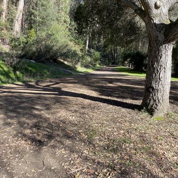 Tilden Regional Park - Parks Near Me - Berkeley, California
