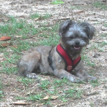 Pendleton King Bark Park - Dog Parks Near Me - Augusta, Georgia