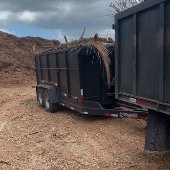 Dynamic Trees - Debris hauling - Tree Services Near Me